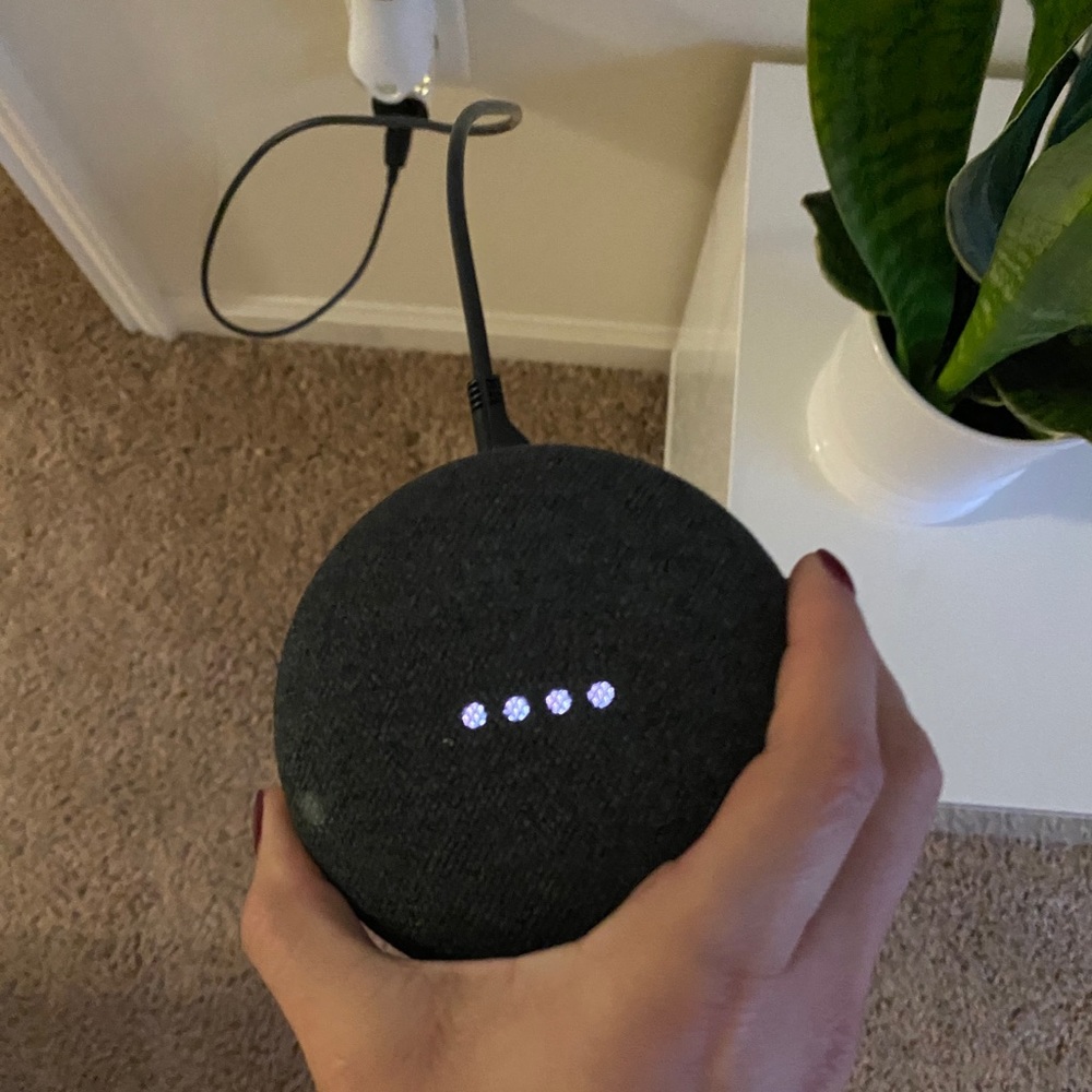 Google speakers. Nest mini